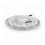 Striscia Led Vt-5050 60Led/Mt 12V Strip 5Mt 10.8W/Mt Rgb Ip20 (212120)