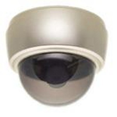 Telecamera Sorveglianza Ip Dome Type Fic-Dm310