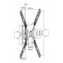 Equip Staffa per montaggio a parete del televisore articolato da 23” a 55”