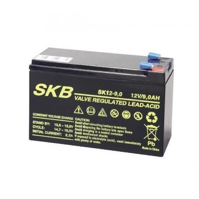 Batteria Al Piombo 12V 9Ah (Sk12-9)