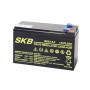 Batteria Al Piombo 12V 9Ah (Sk12-9)