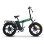 Bici Elettrica Con Pedalata Assistita Fat Bike Skyjet 20" Nitro Pro - 250W - Verde