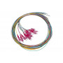 Set 12 Cavi Pigtail Fibra Ottica Colorati Connettori Lc Om4 Simplex 2 Mt (Lklc12Pt4)