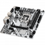 SCHEDA MADRE H610M-HDV/M.2+ D5 SK 1700 (90-MXBM50-A0UAYZ) (Asrock)