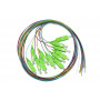 SET 12 CAVI PIGTAIL FIBRA OTTICA COLORATI CONNETTORI SC APC SINGLEMODE MT.2 (LKSC12APC) (Link)
