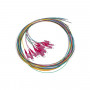 SET 12 CAVI PIGTAIL FIBRA OTTICA COLORATI CONNETTORI LC OM4 SIMPLEX 2 MT (LKLC12PT4) (Link)