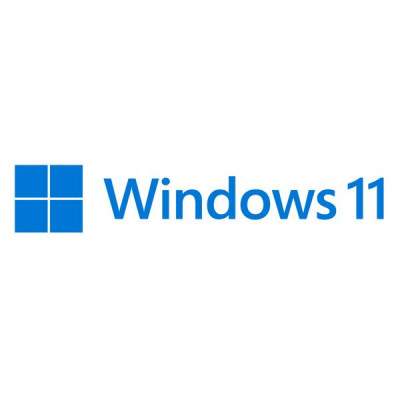 SISTEMA OPERATIVO WINDOWS 11 PRO 64 BIT ITA (FQC-10538) DVD (Microsoft)