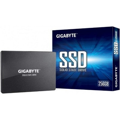 Hard Disk Ssd 256Gb Sata 3 2.5" (Gp-Gstfs31256Gtnd)