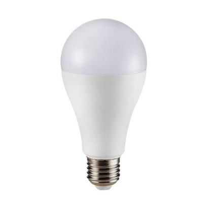 Lampadina A Led 17W E27 A65 6400K (164)