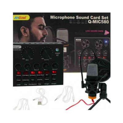 Microfono A Condensatore Q-Mic580 Schede Audio Bluetooth Filtro Anti-Pop Con Base