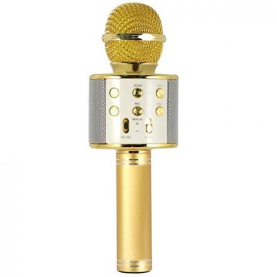 Microfono Karaoke Hollywood Oro (27837K)