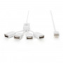 HUB ESTERNO 4 PORTE USB (DA70216) (Digitus)