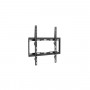 SUPPORTO A PARETE PER TV DA 32" A 55" (650310) (Equip)