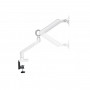 SUPPORTO DA TAVOLO PER MONITOR DA 17" A 35" (650185) BIANCO (Equip)