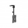 STAFFA SUPPORTO A SOFFITTO PER TV DA 23" A 55" (650375) (Equip)