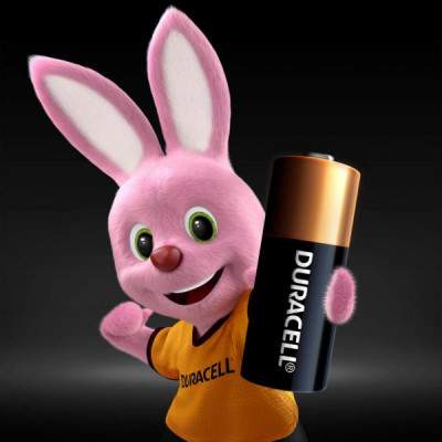 BATTERIE ALCALINE TWIN PACK 12V MN21 (E23) (Duracell)