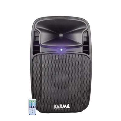 CASSA AUDIO DIFFUSORE AMPLIFICATO TIGER 10A 170 WATT (Karma)