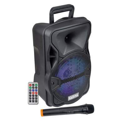 CASSA AUDIO AMPLIFICATO PSB 8 300 WATT CON RADIOMICROFONO (Karma)