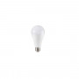 LAMPADINA A LED 17W E27 A65 3000K (162) (V-tac)