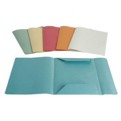 CARTELLE 3 LEMBI GR.220 (50 PEZZI) - VARI COLORI (No Brand)