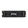 Hard Disk Ssd 500 Gb Fury Renegade M.2 Nvme (Sfyrs/500G)