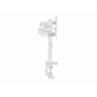 Equip Staffa di montaggio da tavolo articolata per doppio monitor da 17“-32”, bianco