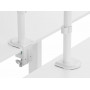 Equip Staffa di montaggio da tavolo articolata per doppio monitor da 17“-32”, bianco