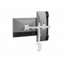 Equip Staffa di montaggio da tavolo articolata per doppio monitor da 17“-32”, bianco