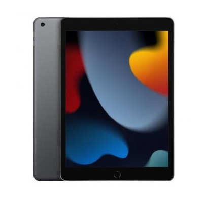 Tablet Ipad 9 10.2" 64Gb Wifi Grigio (Mk2K3Ty/A)